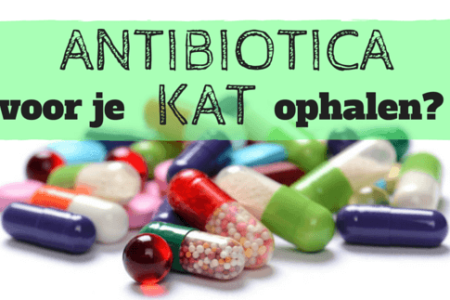 Antibiotica ophalen bij de dierenarts?