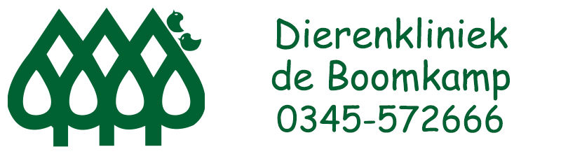 Header image alt text