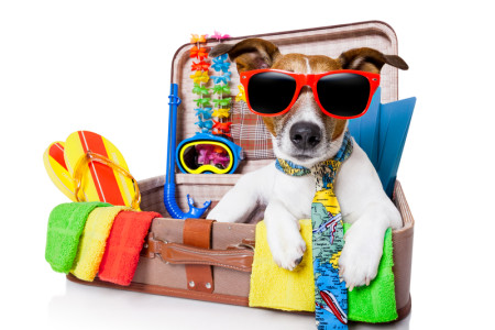 Vakantiekriebels? Een goede voorbereiding...