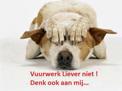 Vuurwerkangst bij hond en kat
